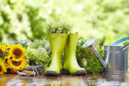 Efficient cleaning services in SE3